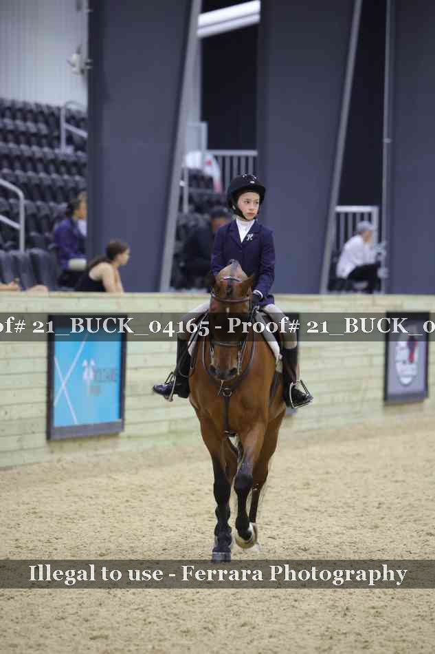Proof 21_BUCK_04165