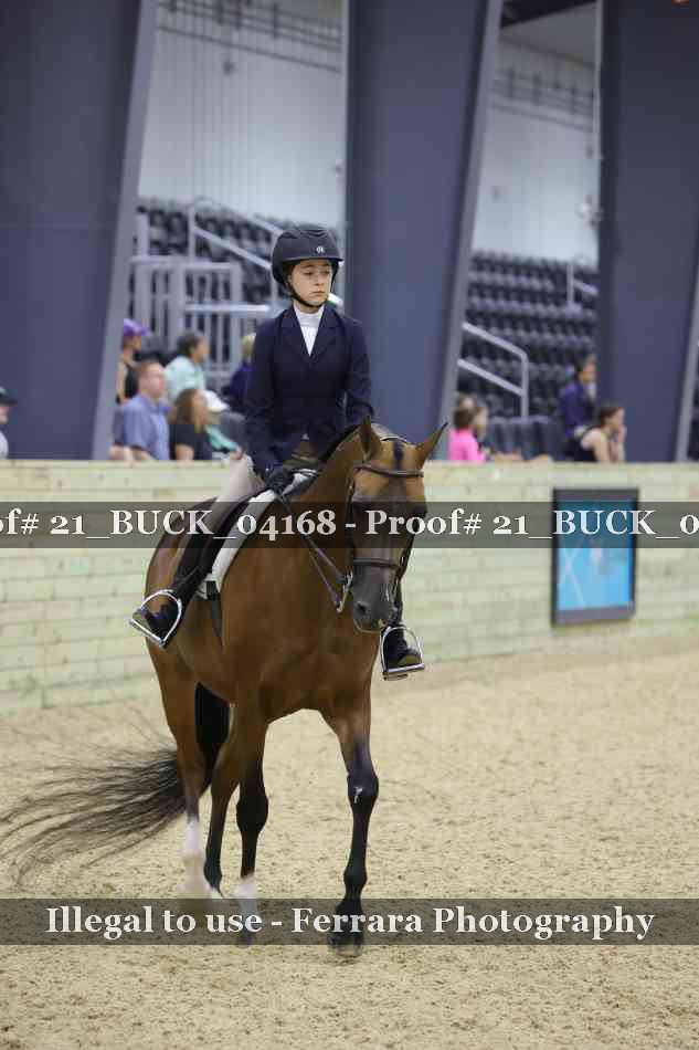 Proof 21_BUCK_04168