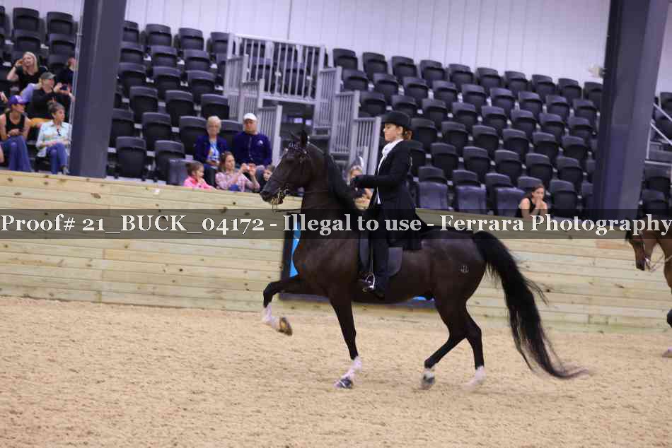 Proof 21_BUCK_04172