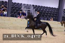 21_BUCK_04172 proof