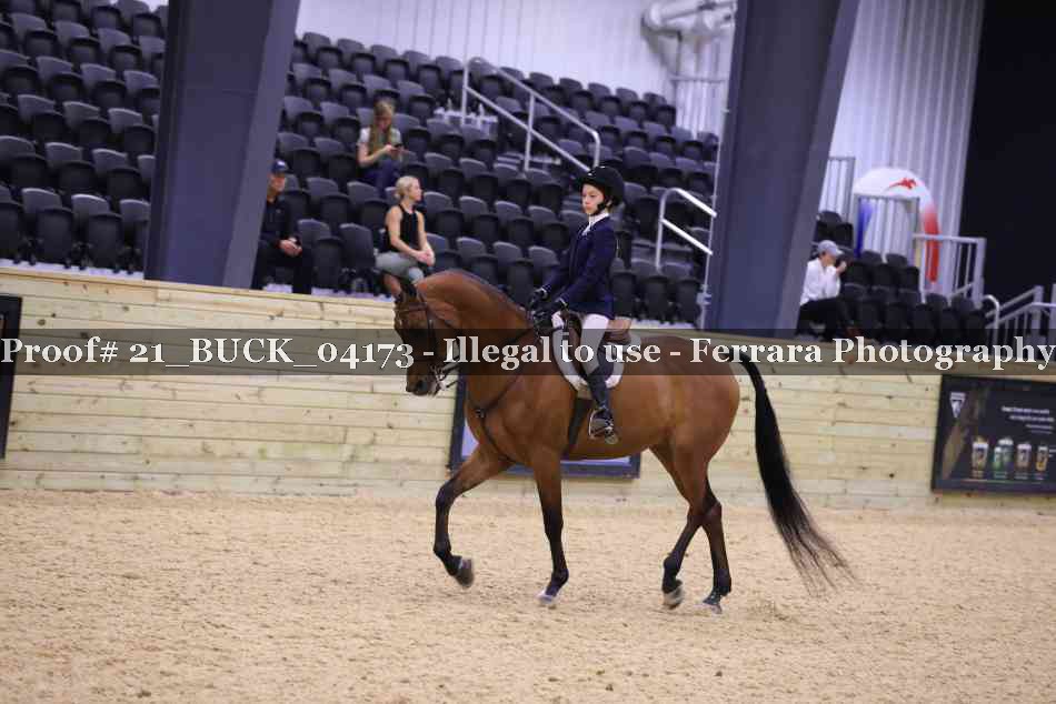 Proof 21_BUCK_04173
