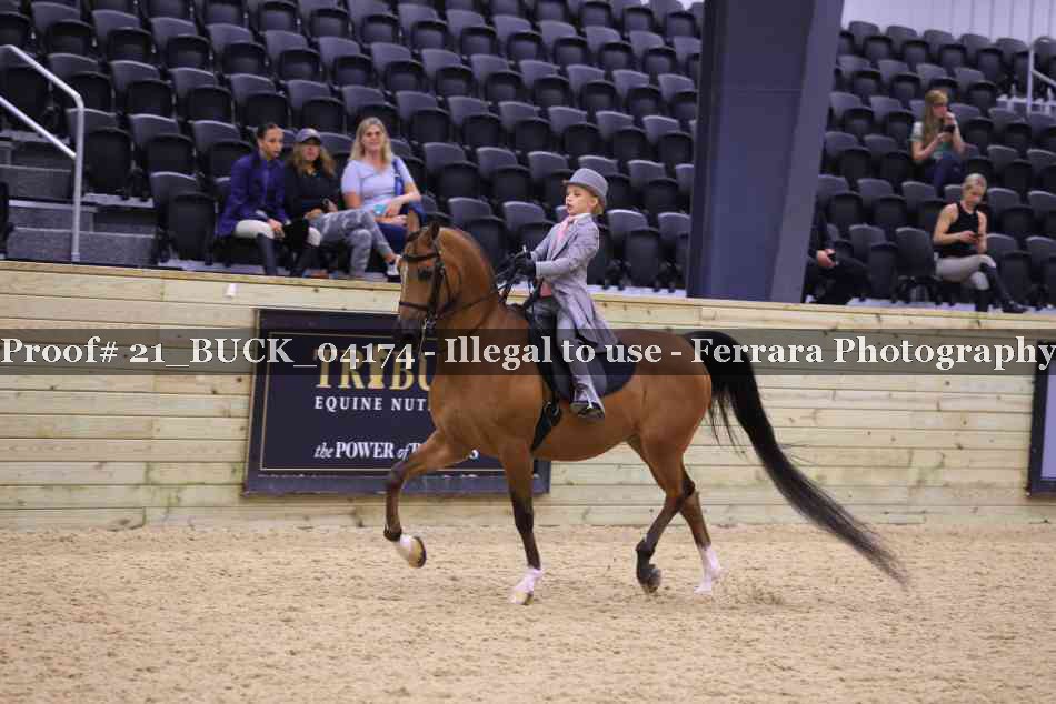 Proof 21_BUCK_04174