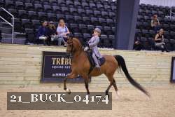 21_BUCK_04174 proof