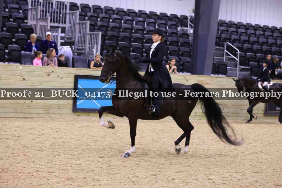 Proof 21_BUCK_04175