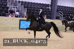 21_BUCK_04175 proof