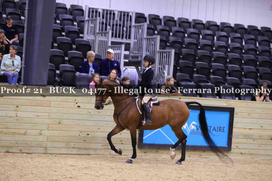 Proof 21_BUCK_04177