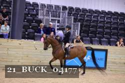 21_BUCK_04177 proof