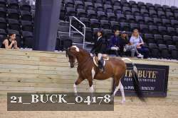 21_BUCK_04178 proof