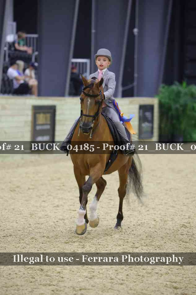 Proof 21_BUCK_04185