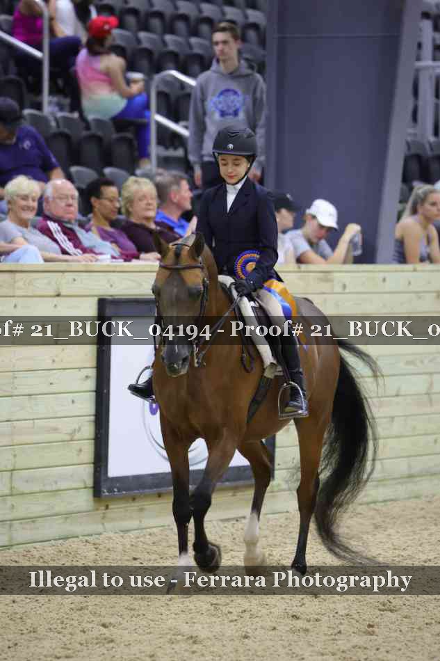 Proof 21_BUCK_04194