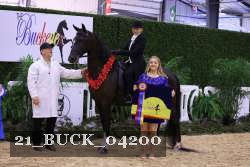 21_BUCK_04200 proof