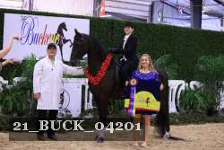 21_BUCK_04201 proof