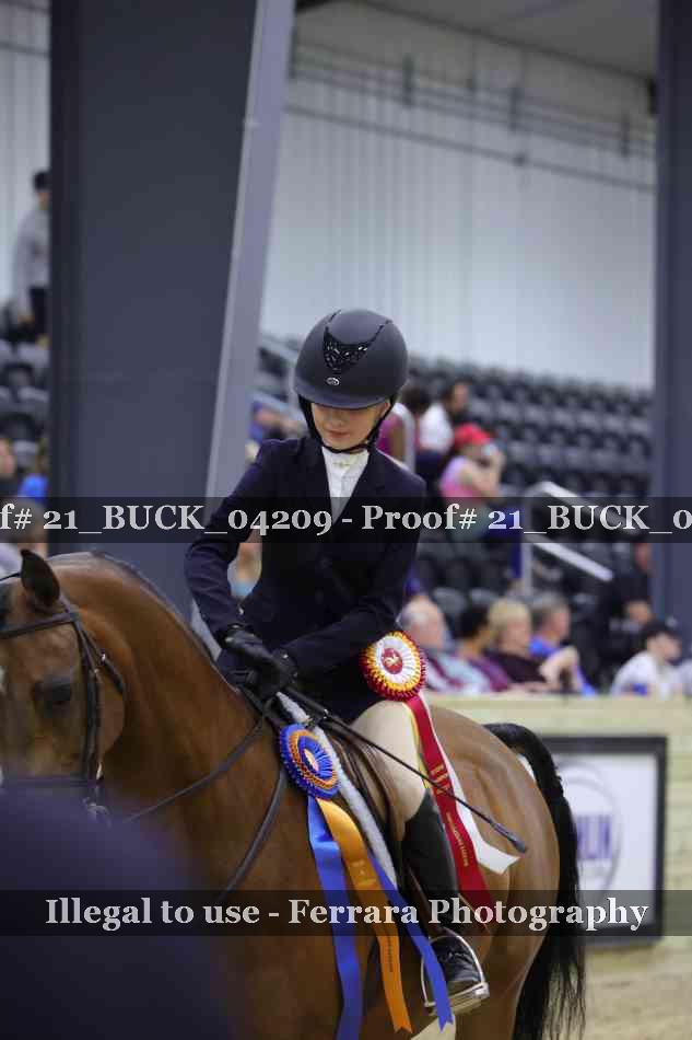 Proof 21_BUCK_04209