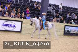 21_BUCK_04210 proof