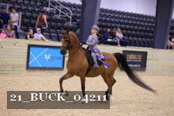 21_BUCK_04211 proof