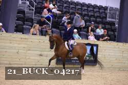 21_BUCK_04217 proof