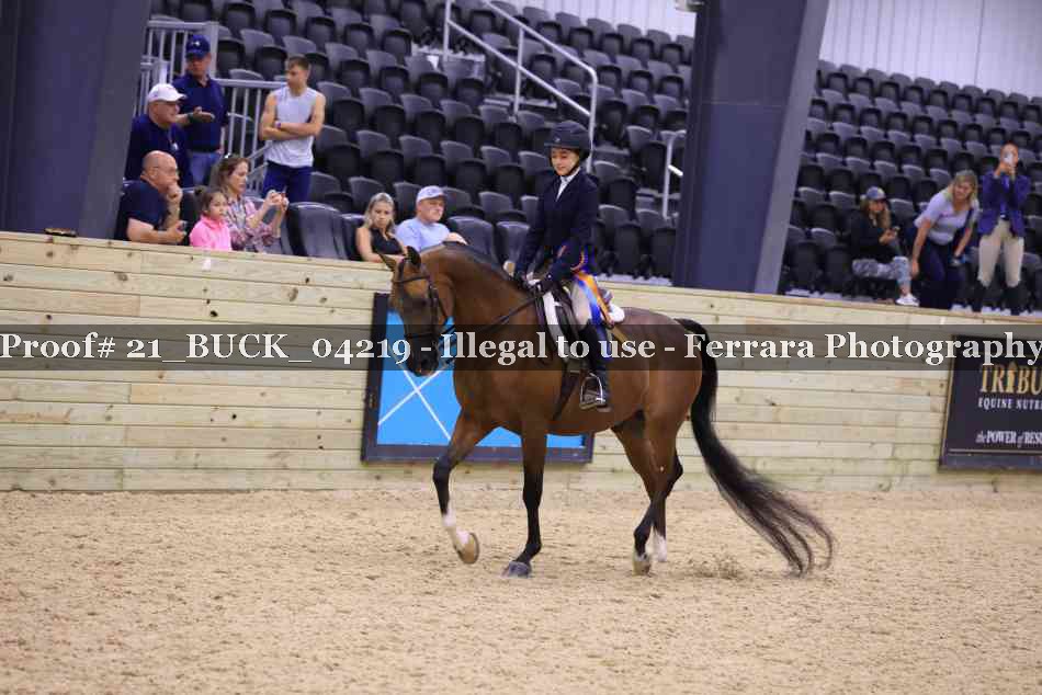 Proof 21_BUCK_04219