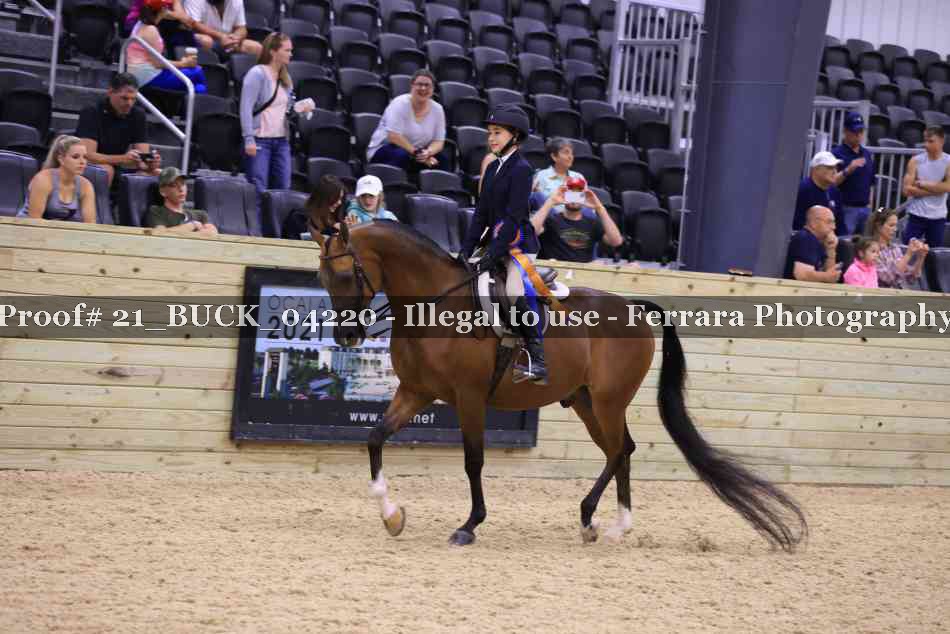 Proof 21_BUCK_04220