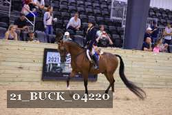 21_BUCK_04220 proof
