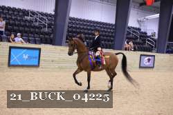 21_BUCK_04225 proof