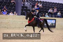 21_BUCK_04227 proof