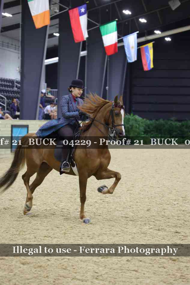 Proof 21_BUCK_04229
