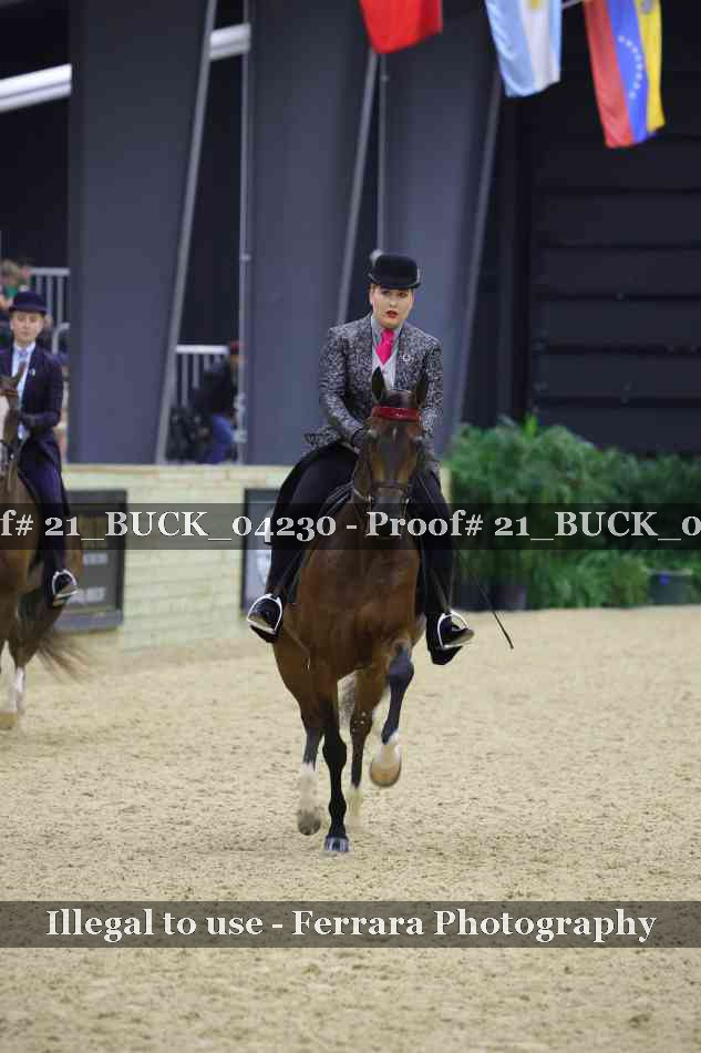 Proof 21_BUCK_04230
