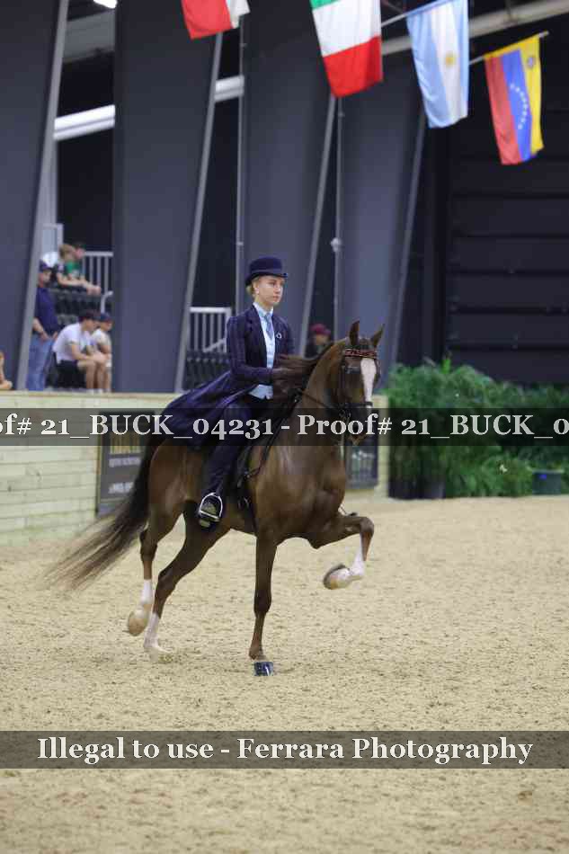 Proof 21_BUCK_04231