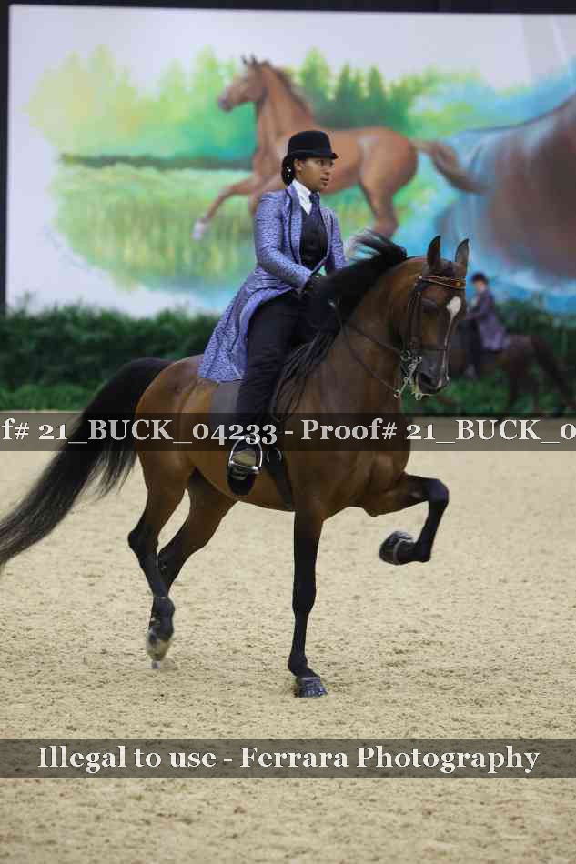 Proof 21_BUCK_04233