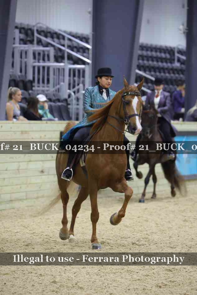 Proof 21_BUCK_04234