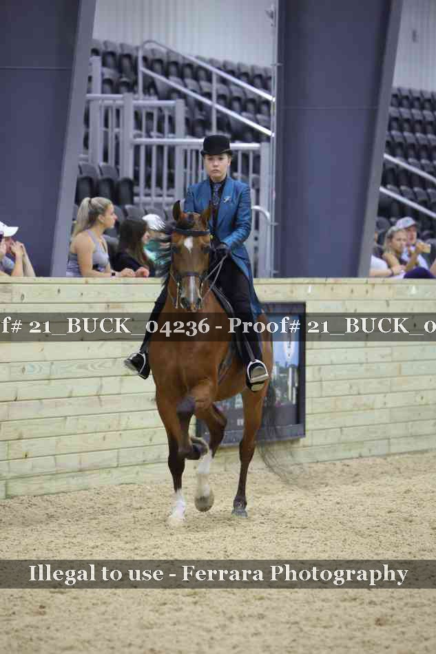 Proof 21_BUCK_04236