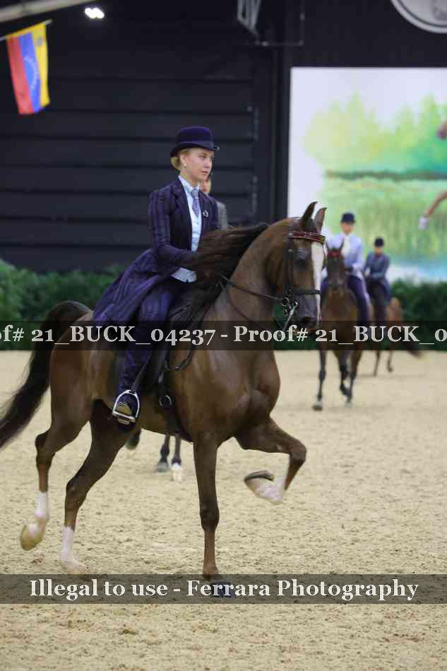 Proof 21_BUCK_04237