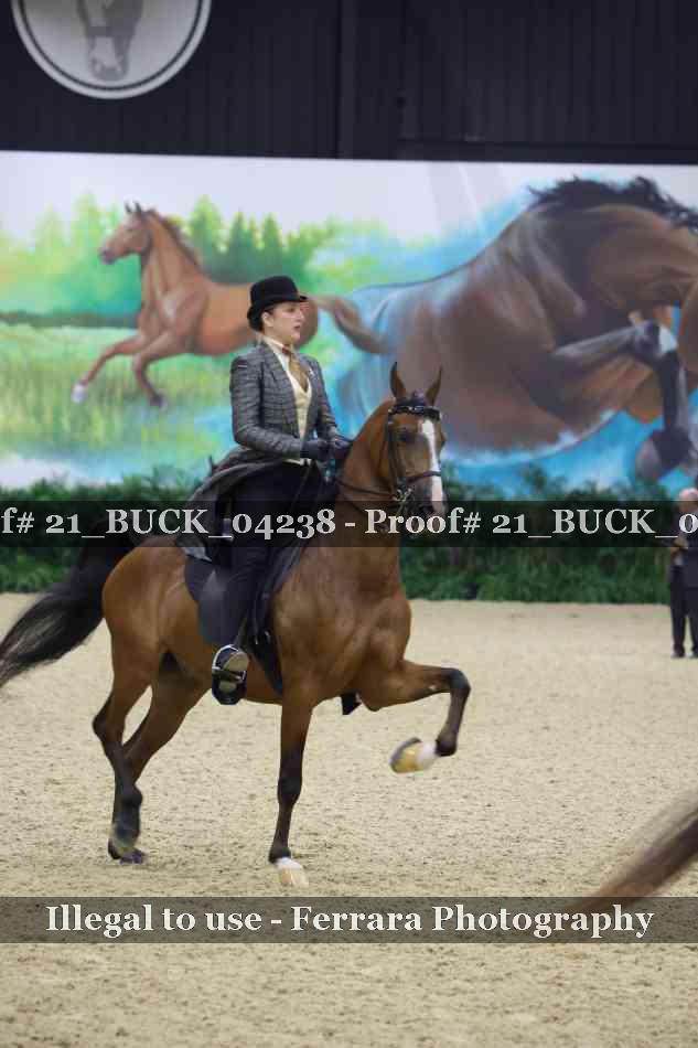 Proof 21_BUCK_04238