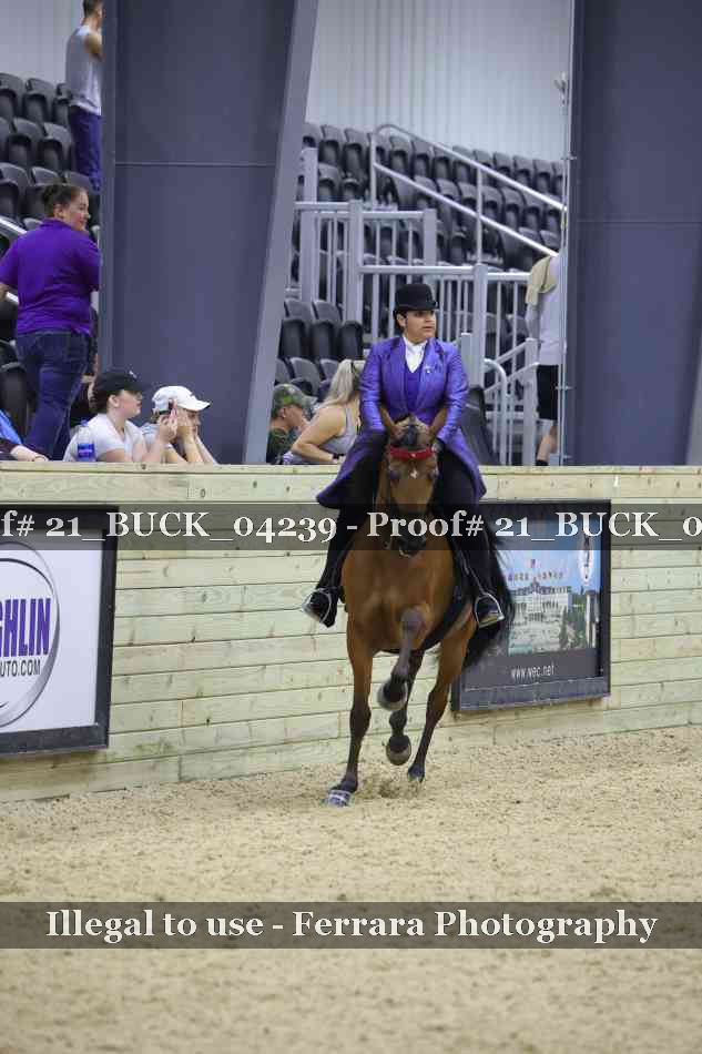 Proof 21_BUCK_04239