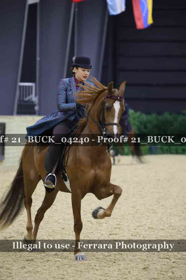 Proof 21_BUCK_04240