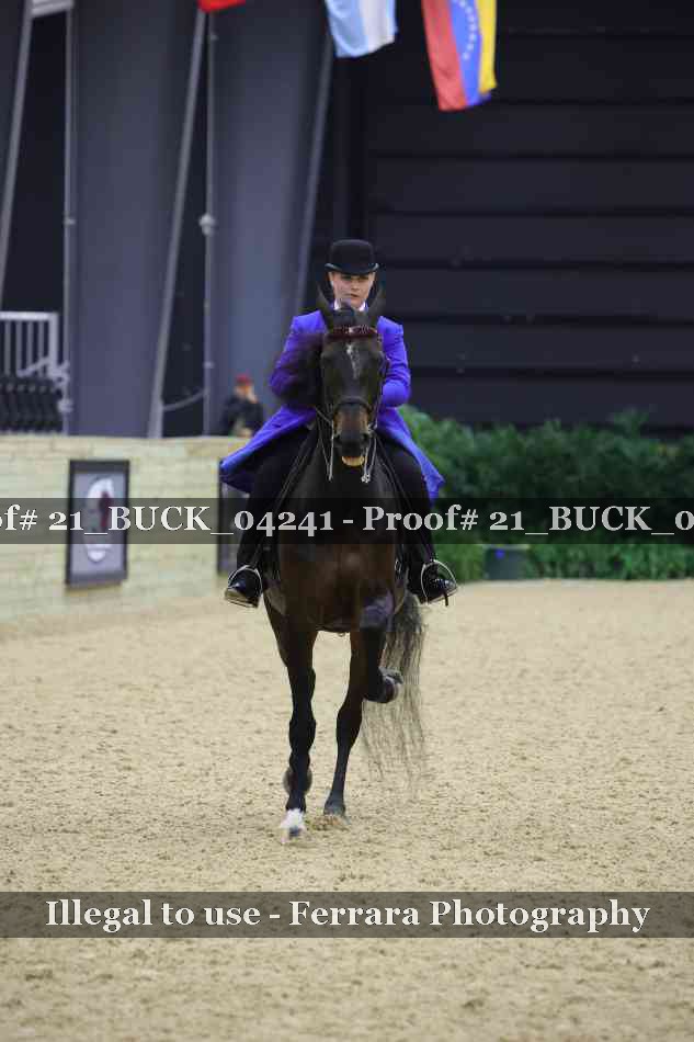Proof 21_BUCK_04241