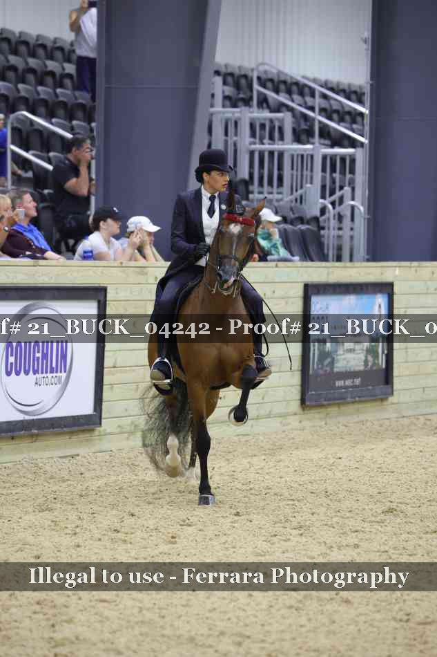 Proof 21_BUCK_04242