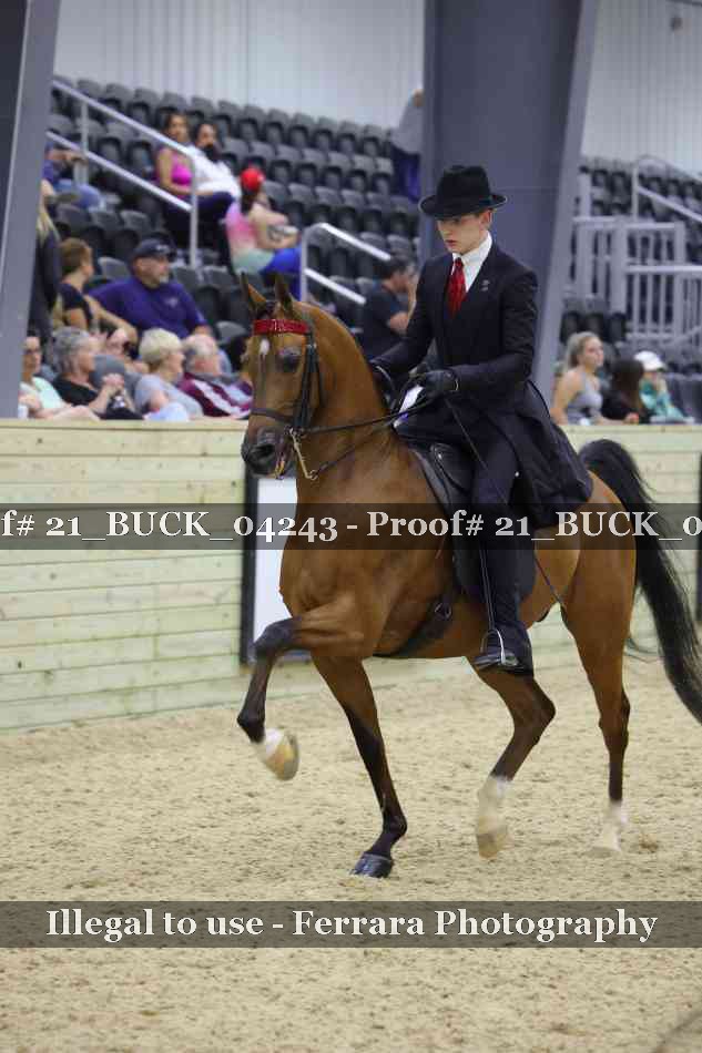 Proof 21_BUCK_04243