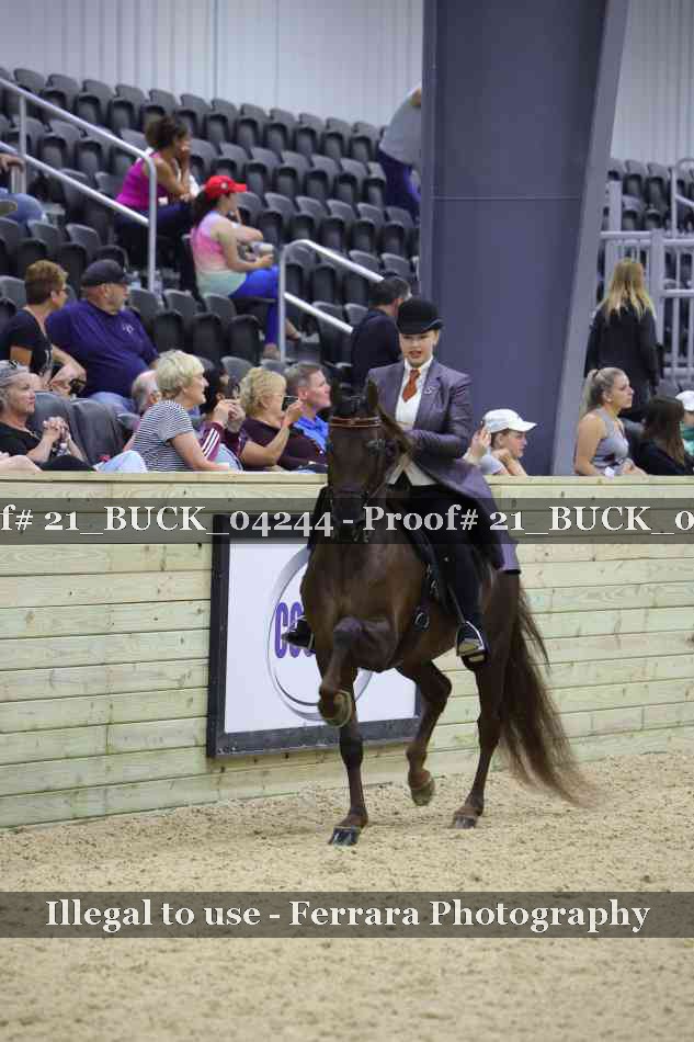 Proof 21_BUCK_04244