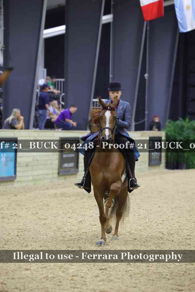 Proof 21_BUCK_04248