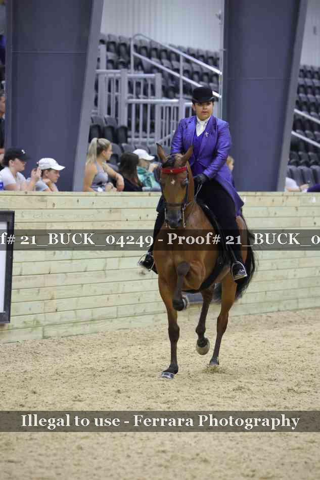 Proof 21_BUCK_04249