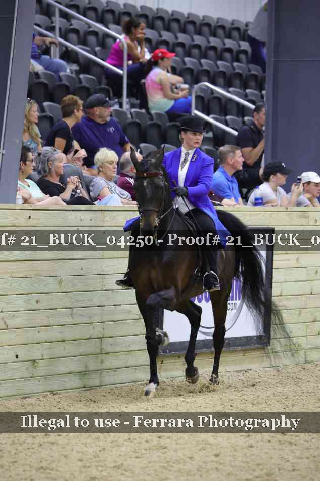 Proof 21_BUCK_04250