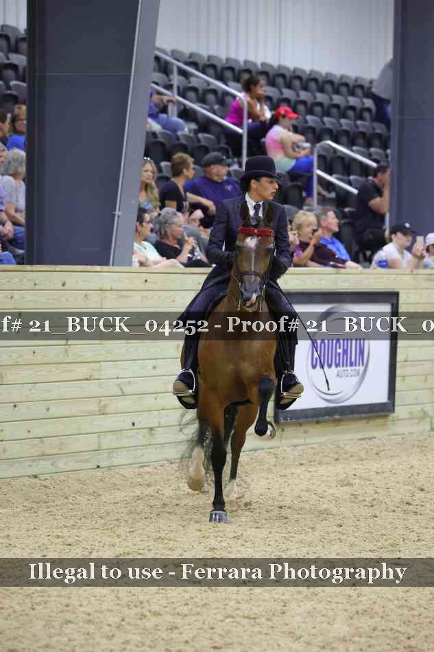 Proof 21_BUCK_04252