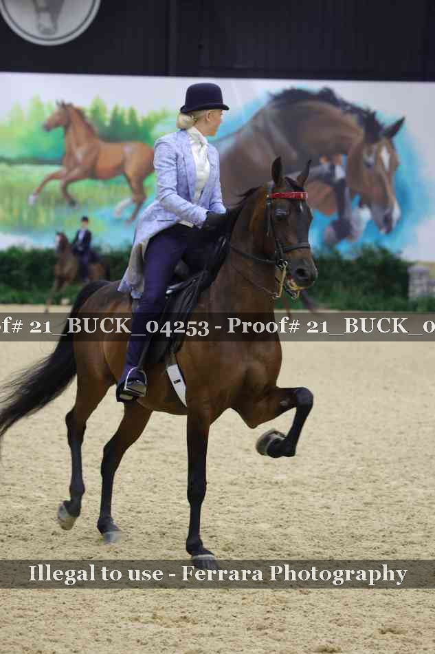 Proof 21_BUCK_04253