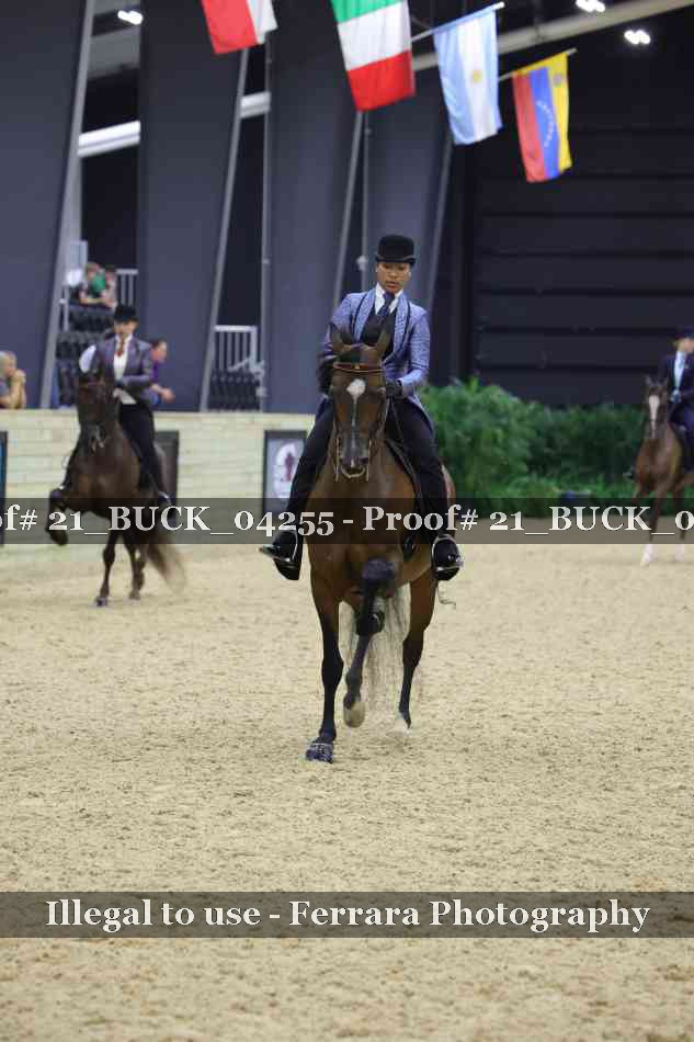 Proof 21_BUCK_04255