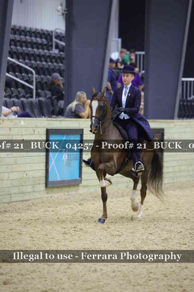 Proof 21_BUCK_04257