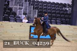 21_BUCK_04259 proof