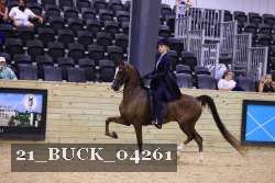 21_BUCK_04261 proof