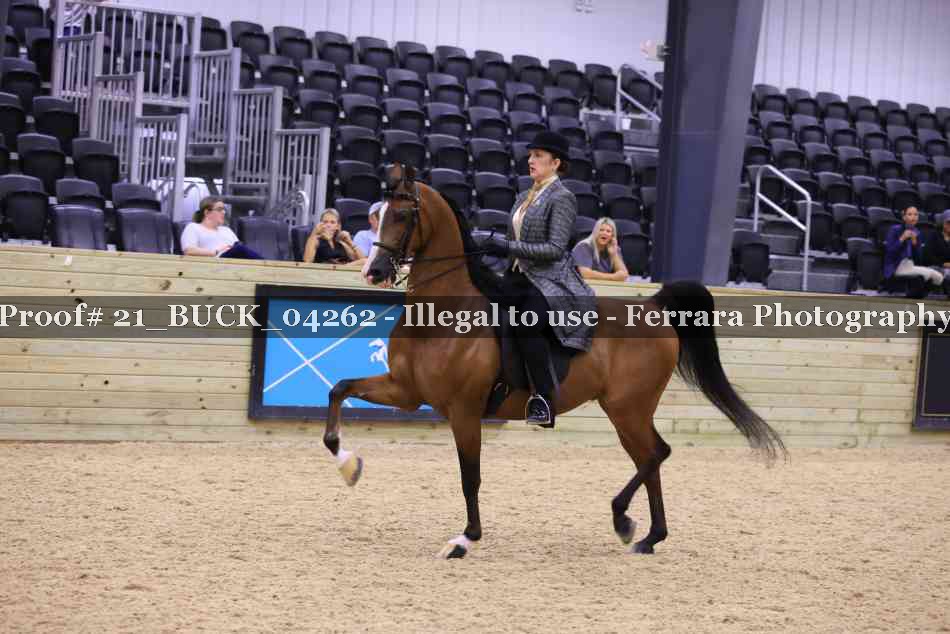 Proof 21_BUCK_04262
