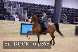 21_BUCK_04262 proof